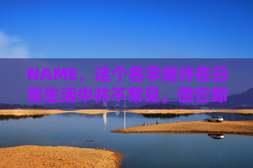 NAME，这个名字或许在日常生活中并不常见，但它却在某些领域里扮演着重要的角色。今天，让我们一起来探索这个名字背后的故事和意义